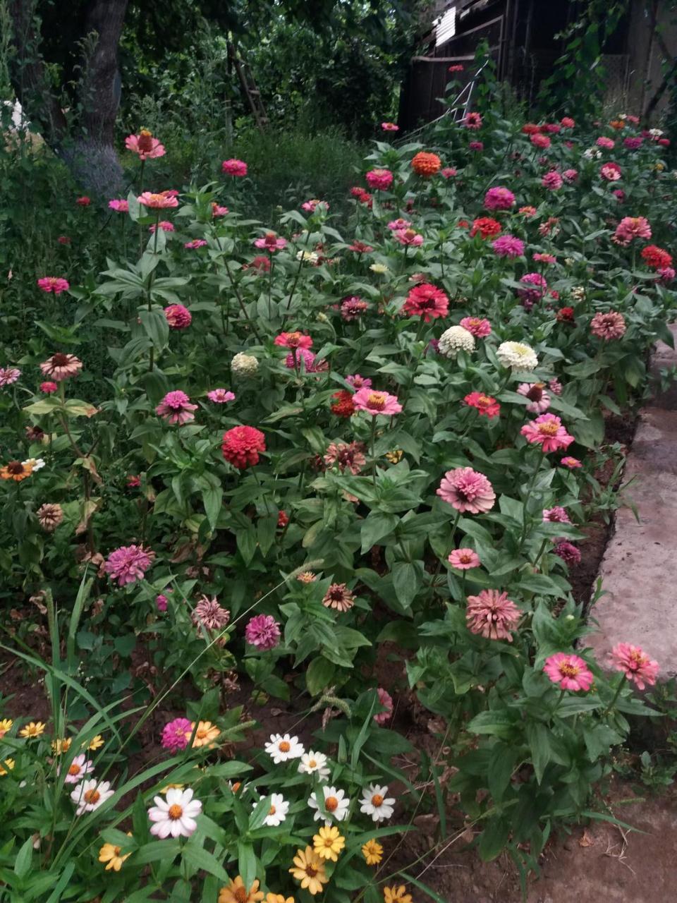 B&B Ruzan Yeghegnadzor 외부 사진
